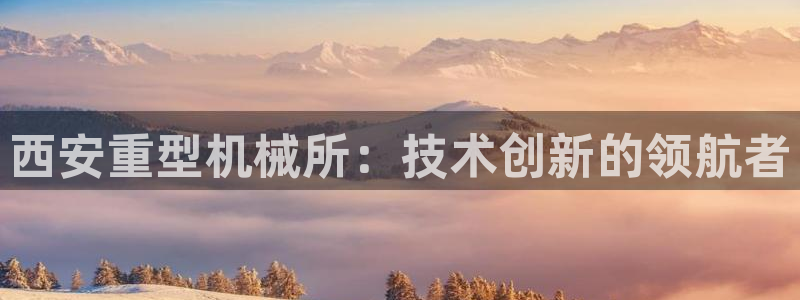 龙八国际是什么