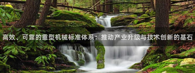 龙八国际娯乐城