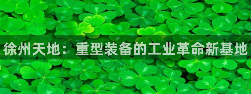 项目名称龙八国际
