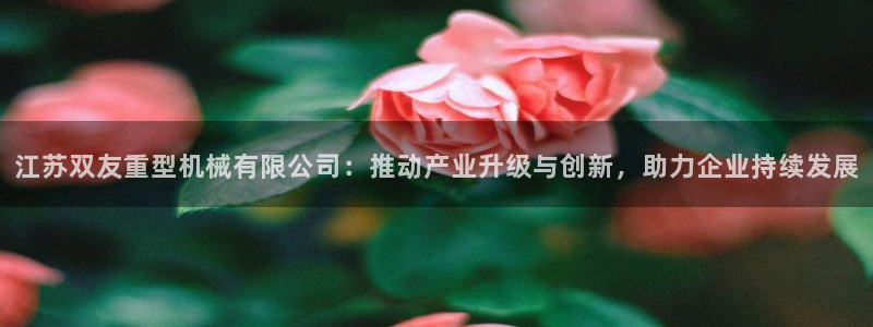 龙八国际游戏维护时间