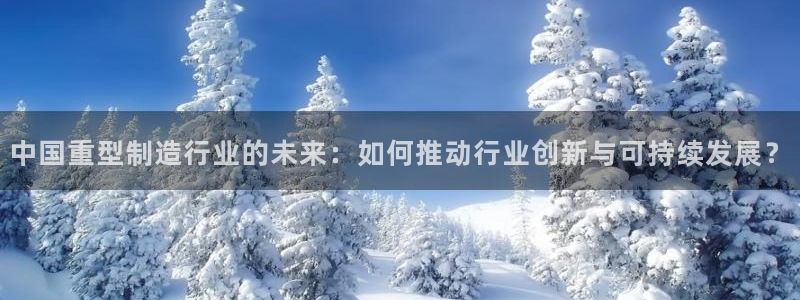 龙八国际娯乐城