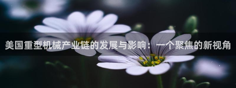 龙八国际网站手机版