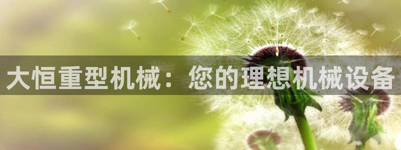 龙八国际新版本