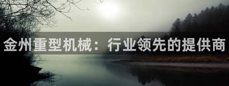 龙八国际服官方