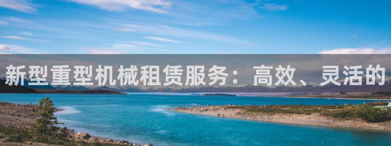 龙八国际城网站