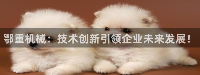 龙八国际下载链接