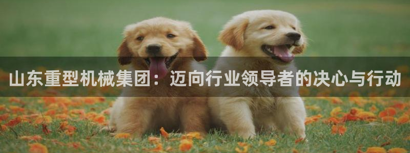 龙八国际客户端下载安卓