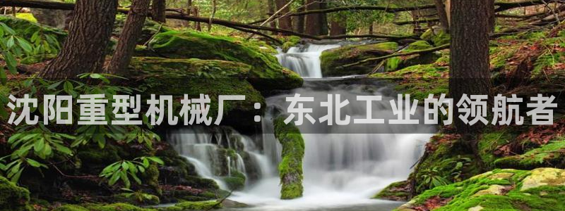 龙八国际手机游戏官网