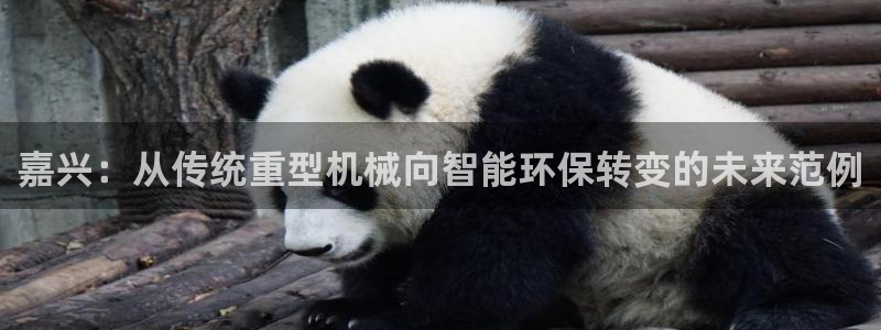 龙八国际娱乐地