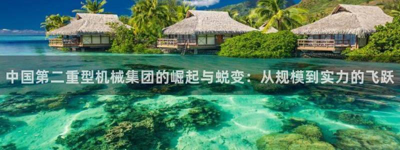 龙八国际报警