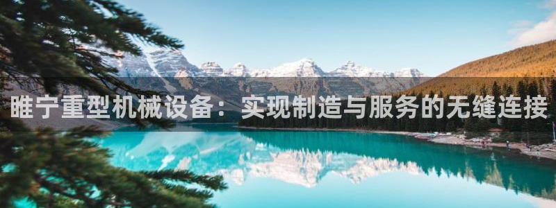 龙八国际下载app苹果