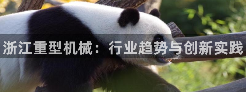龙八国际链接