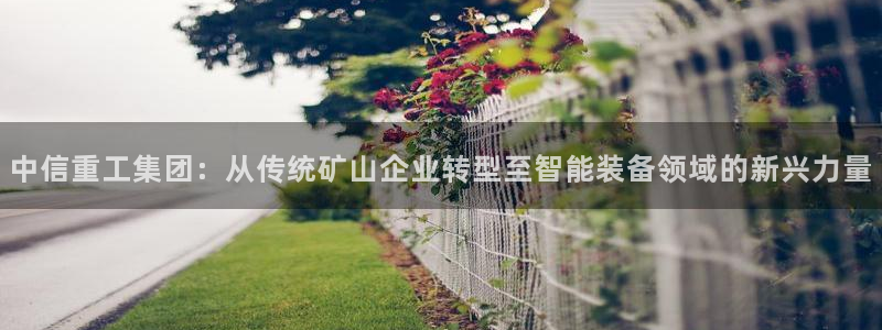 龙八国际网页long