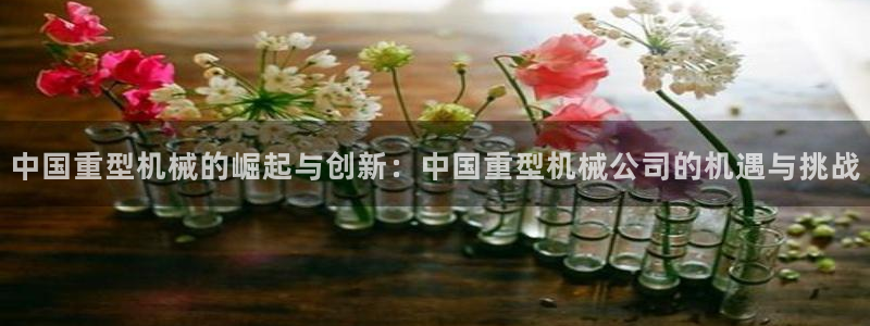 龙八国际官网苹果