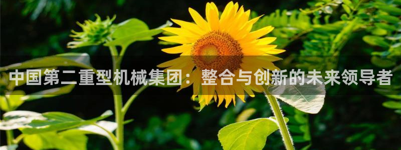 龙八国际平台下载
