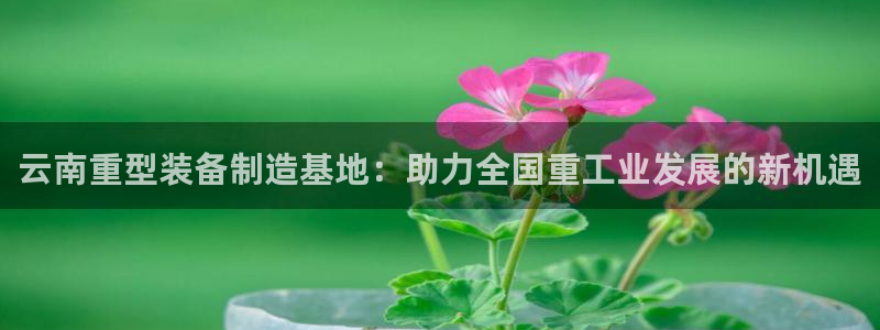 龙八国际服官网下载安卓