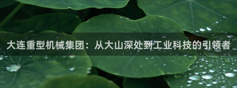 龙八国际赌博经验