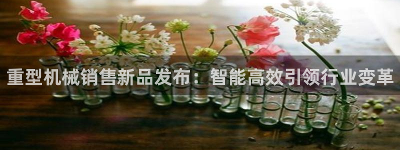 龙八国际娱乐官网手机