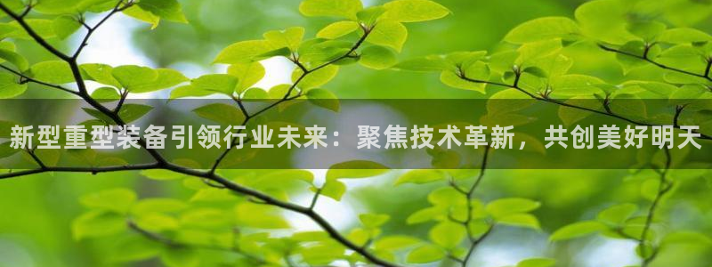 龙八国际手机版入口官网