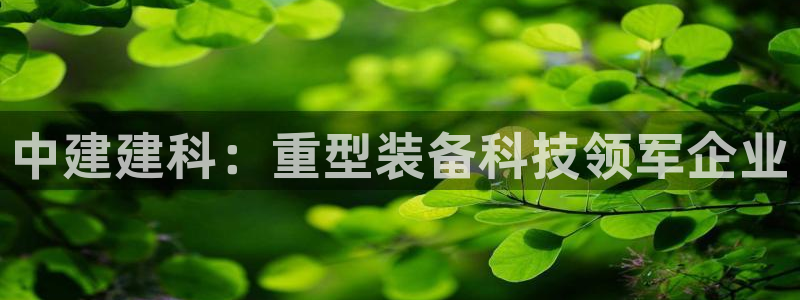 龙八国际官网手游