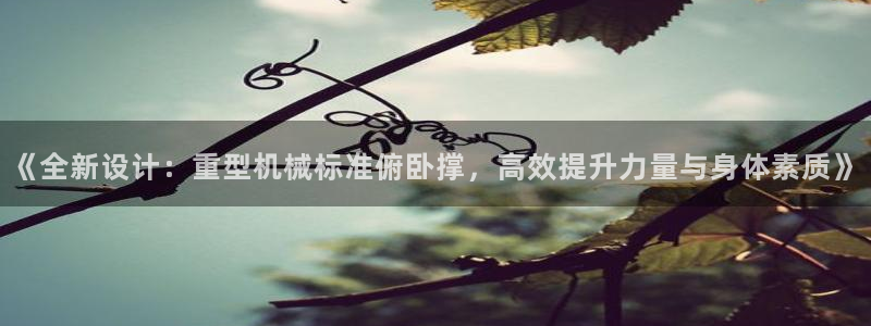 龙八国际手机端官网