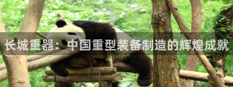 龙八国际下载链接一