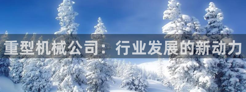 龙八国际客户端下载安卓
