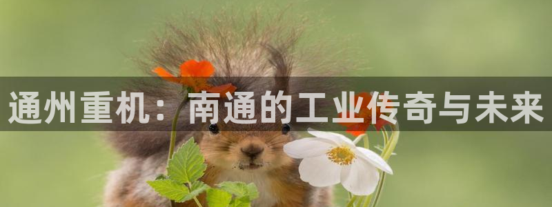 龙八国际娱乐游戏