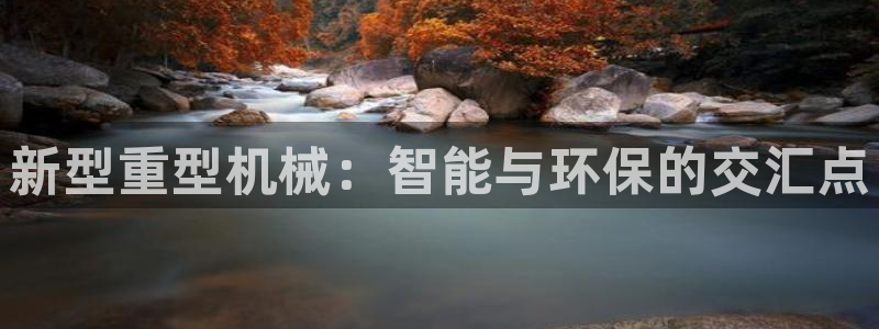 龙八国际黑钱
