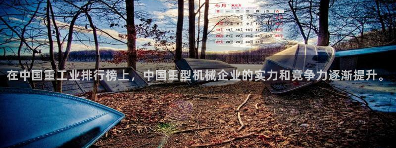 龙八国际平台网站