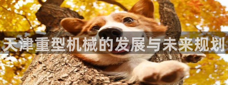 龙八国际娱乐网页多少