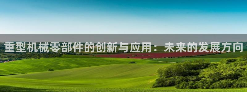 龙八国际娱乐pt