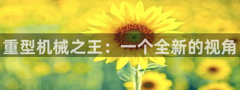 苹果怎么下载龙八国际