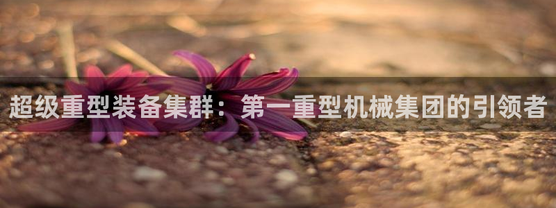 龙八国际新版