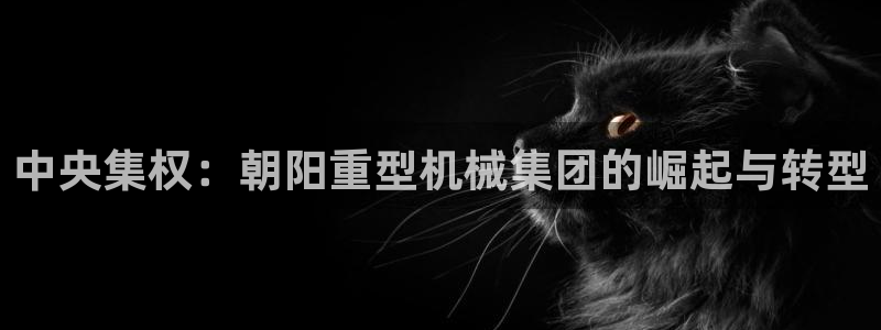 龙八国际输死人