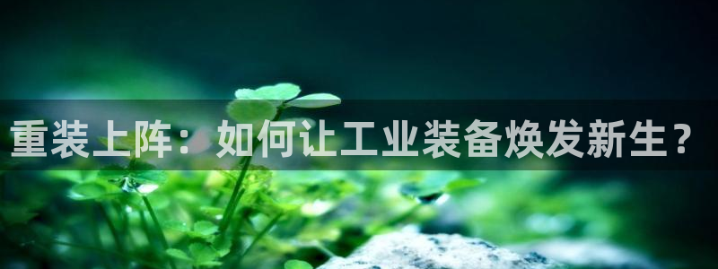 龙八国际城客运站电话