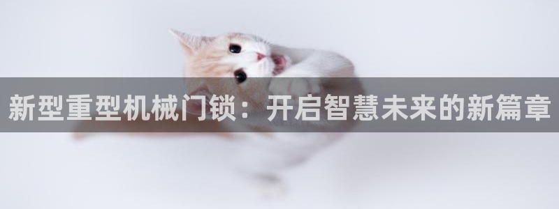 龙八国际游戏下载地址