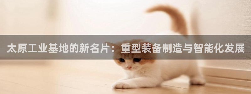 龙八国际集团