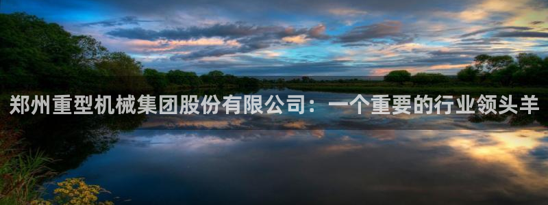 龙八国际long