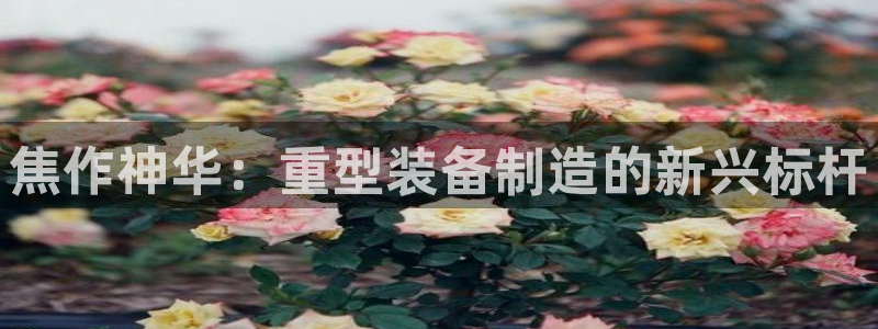 龙八国际合法