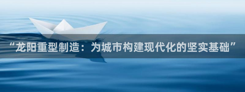 龙八国际是干什么的