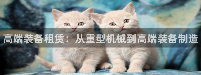 龙八国际头号玩家下截