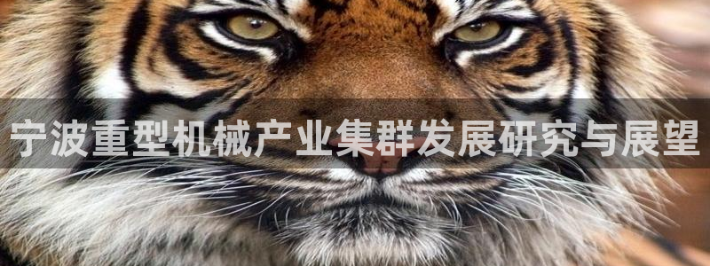 龙八国际手机版下载安装app
