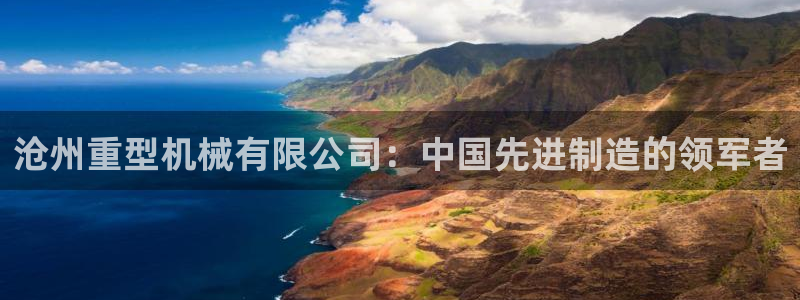 龙八国际是干什么的
