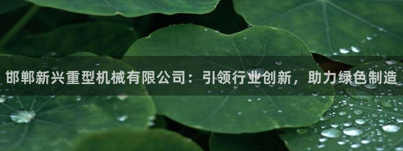 龙八国际老虎