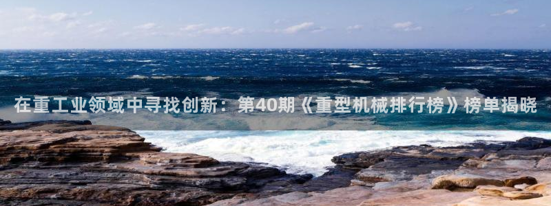 项目名称龙八国际