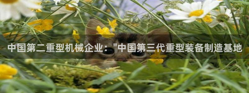 龙八国际官网产品介绍