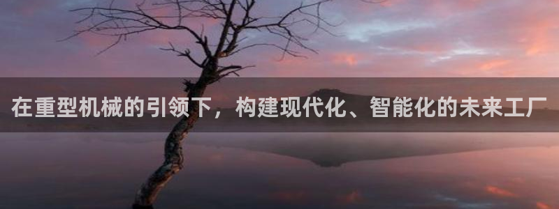 龙八国际电脑版下载