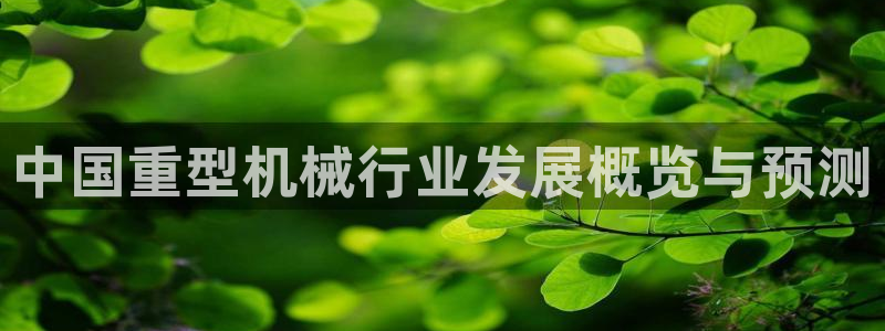 龙八国际老虎机