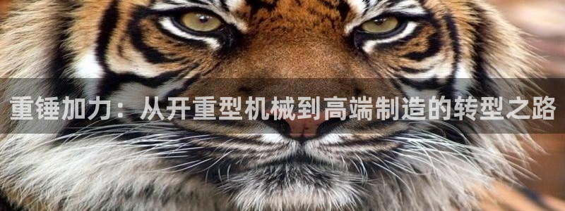 龙八国际娱乐网页多少